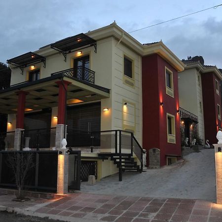 Dominique Meteora House Apartment Kalambaka Exterior photo